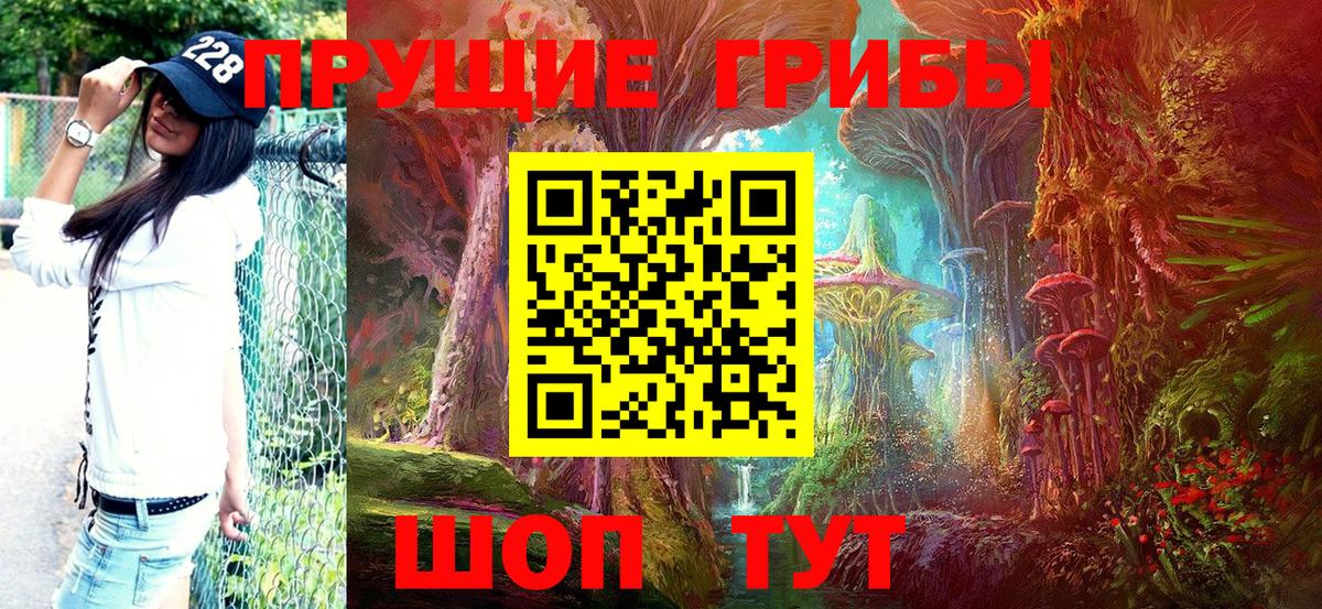 Галлюциногенные грибы Psilocybine cubensis Лесной