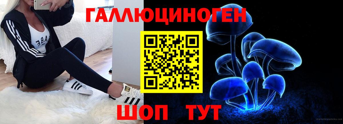Галлюциногенные грибы Cubensis  где купить наркотик  Лесной  Вход с VPN 